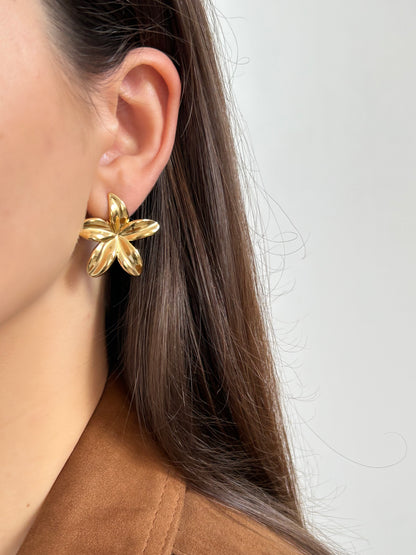 Boucles d’oreilles Rosy Doré | Acier inoxydable